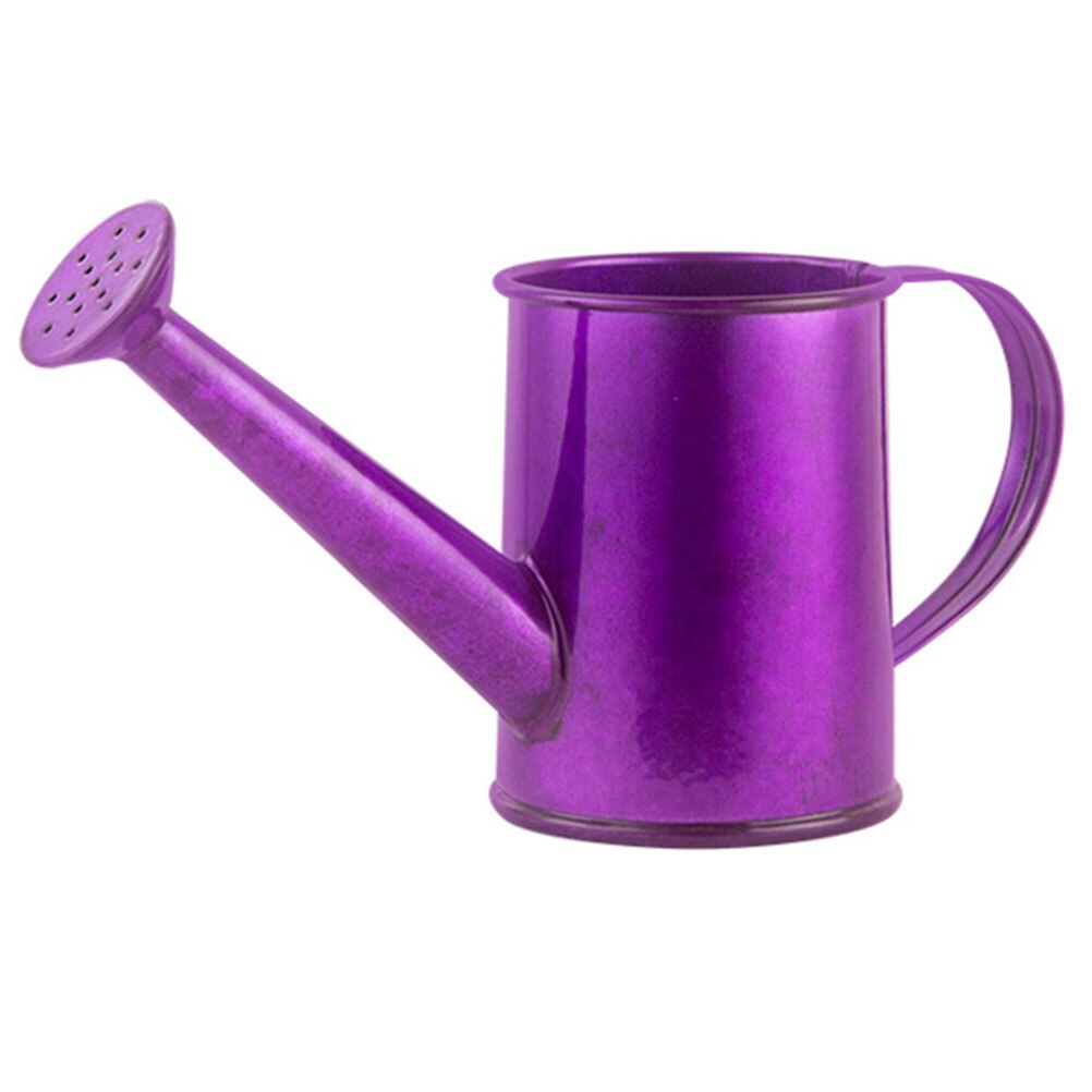 Pot Iron Watering Can Portable Watering Kettle Watering Pot Gardening Tool for Office Garden Balcony: Purple