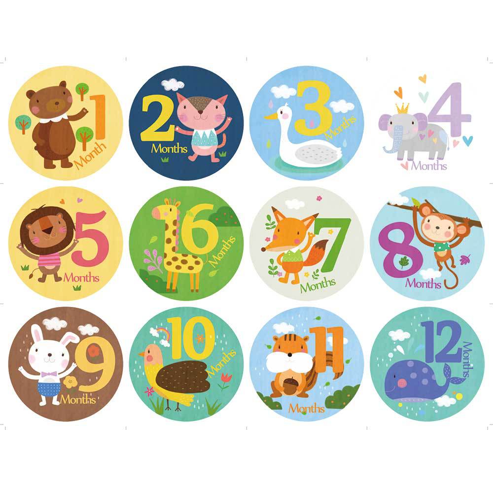 12 Stks/set Maand Sticker Baby Fotografie Stickers Pasgeboren Maandelijkse Milestone Gedenkteken Baby &#39;S Kaarten Props Accessoires