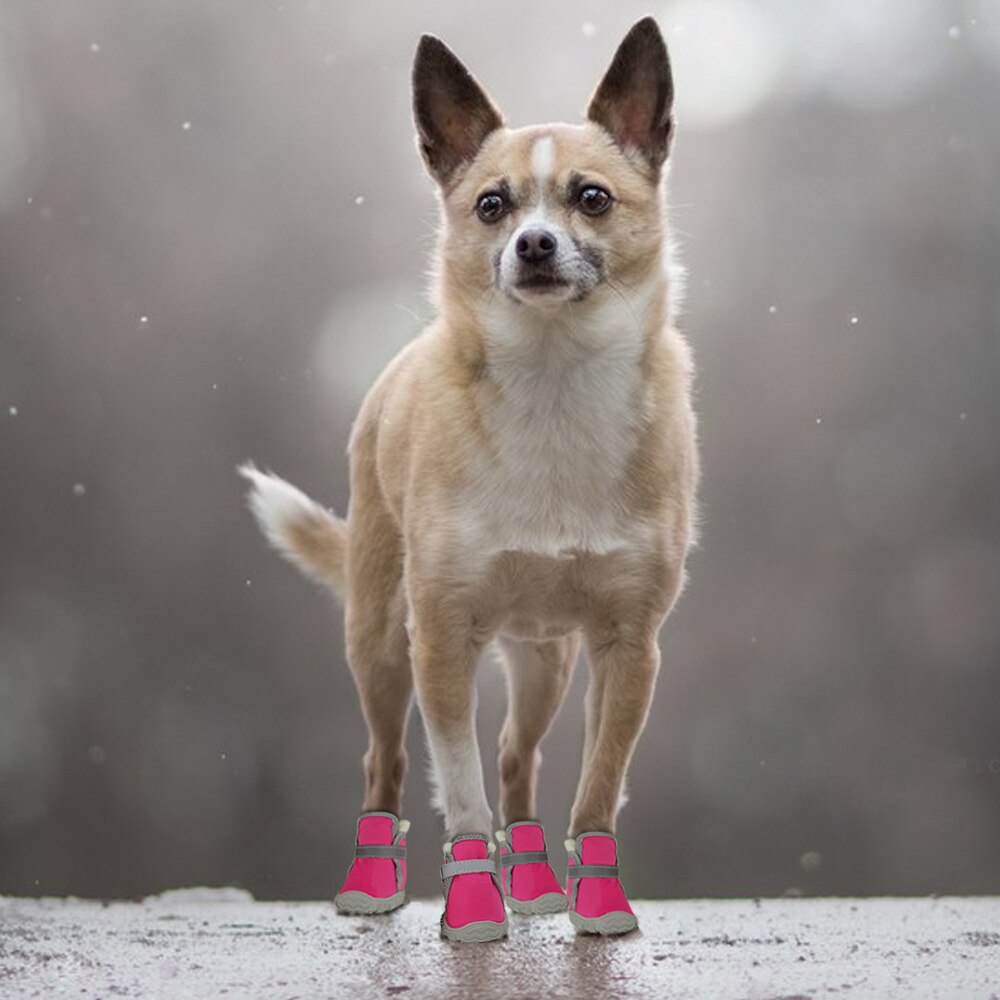 4 Stuks Winter Pet Dog Schoenen Warm Bont Hond Boot Anti Slip Huisdieren Kat Snowboots Waterdichte Reflecterende Honden Schoenen schoeisel Chihuahua