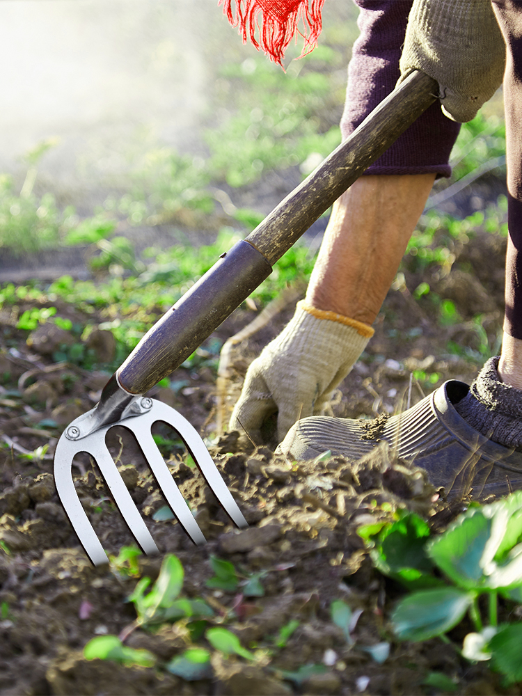 Ferro De Jardinagem Enxada, Ancinho De Erva Daninha, Ferramentas Agrícolas, Grading Loosening Solo Artefato, Harrow Ferramenta Agrícola, Dropshipping