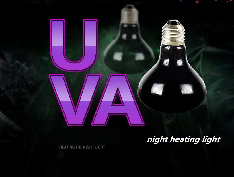 Krybdyrskildpadde varmelamper pindsvin varmelampe halogen lampe uva nat lys måneskin kæledyr varme lampe