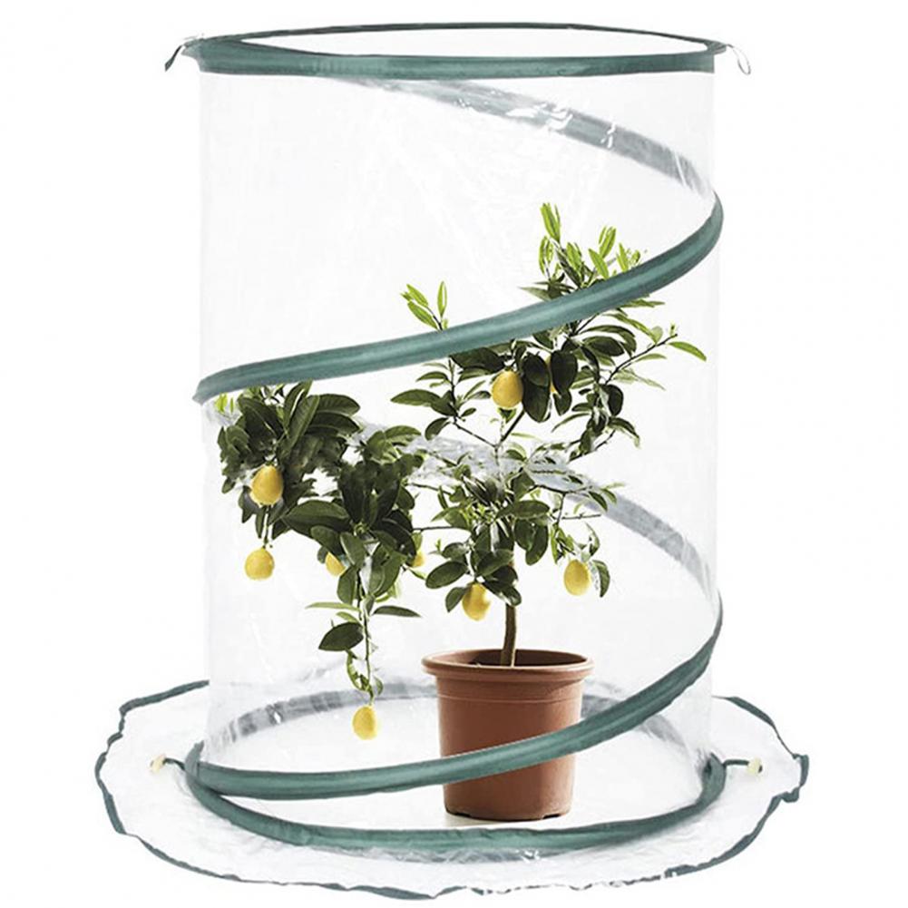 Mini tente pour plantes, antigel, imperméable, facile à installer, abri pour fleurs