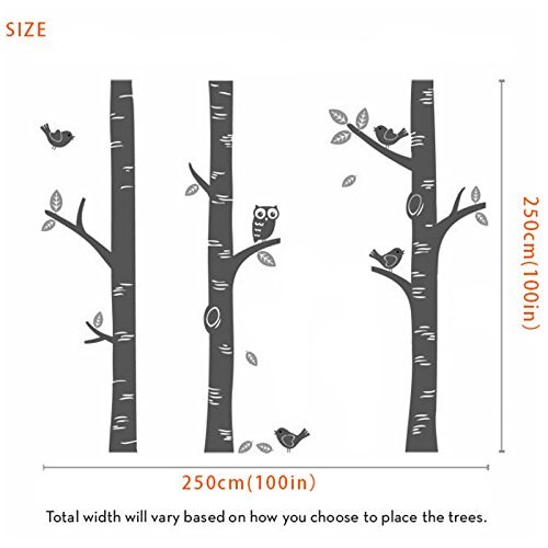 250*250cm söpöä pöllö lintua iso koivu seinä tarra tarra tapetti seinämaalaus lastentarha vauva metsä kodin tausta koriste  d639