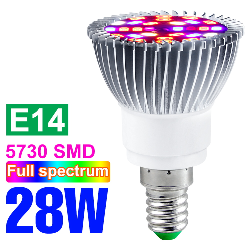 Espectro completo e27 planta led crescer lâmpada e14 220v lâmpadas fito estufa iluminação 18w 28 30 50 80 100 phyto sementes de flores lâmpadas: E14 28W