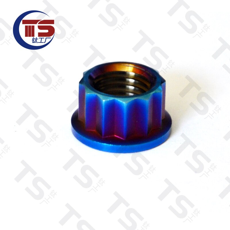 Vis à tête Torx en titane TS M8X15/20/25/30/35/40/45/50/55/60mm, pour moto, pièces de fourche de frein V, fixation en titane (1 pièce): Burn blue / M5