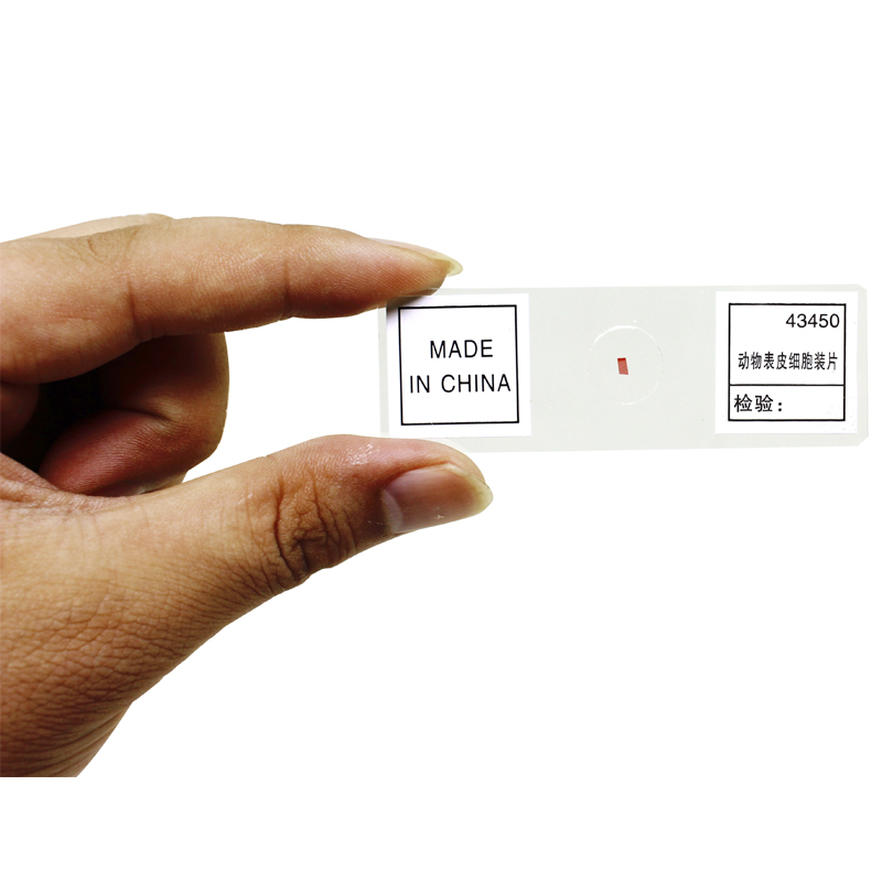 Microscope biological section biological specimens 50 pieces in box