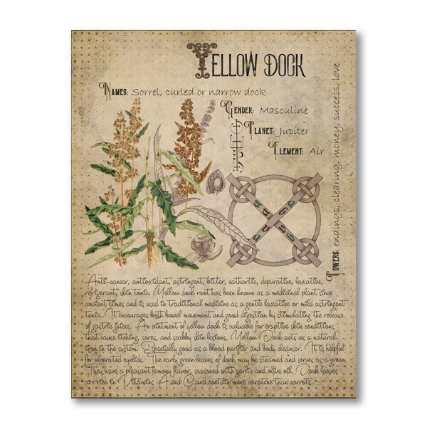 Book of Shadows Poster Pages of Herbs Prints Witchcraft Herbal Grimoire BOS Sheets Magic Painting Herbarium Decoration: Blue / 42x30cm No Frame