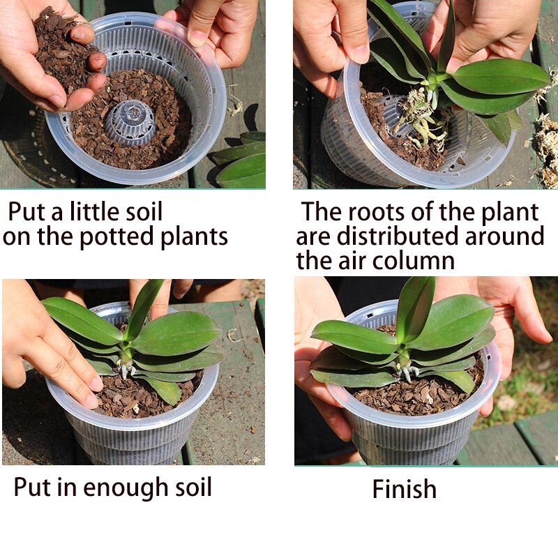 Meshpot 4/5/6 Inch Clear Orchid Pot With Holes Plastic Flower Pot Flower Beds Flower Seeds for Garden Pots for Plants