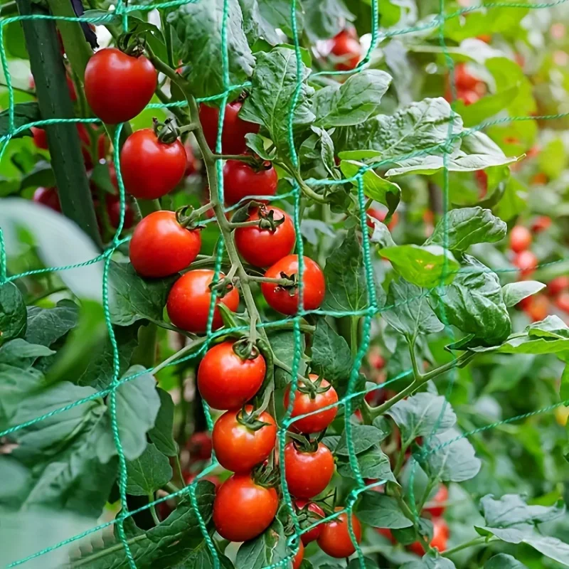 Plantenlatwerk Pergola's, robuust polyester kweeknet, tuinlatwerknet met vierkant gaas voor klimplanten, groenten,