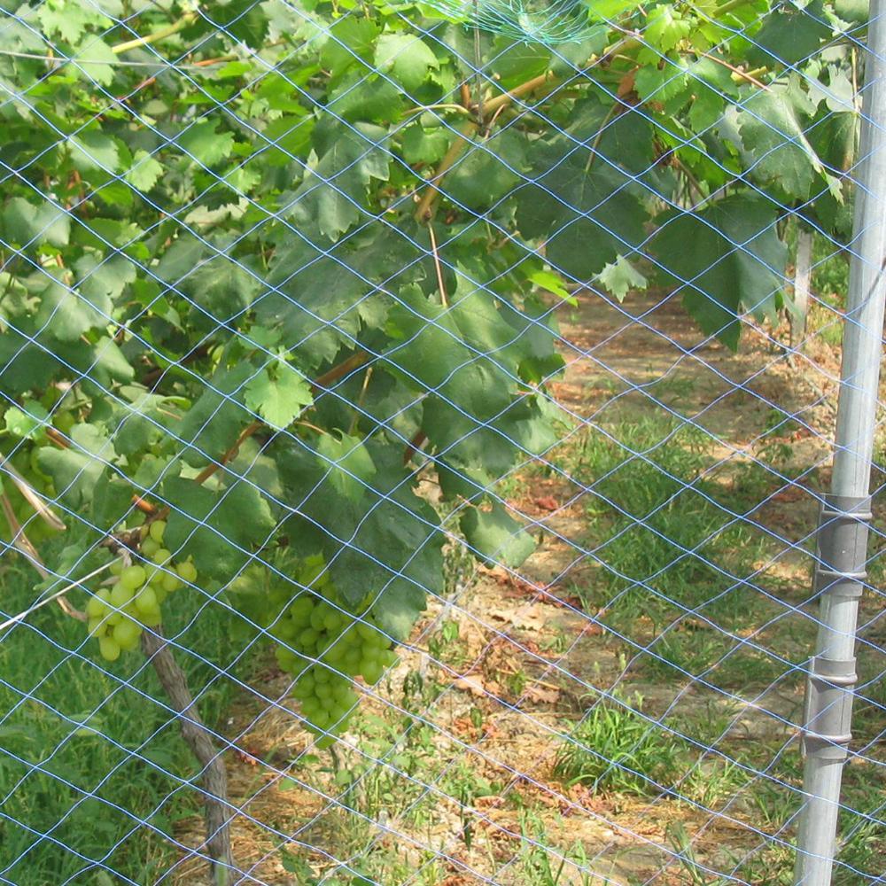 Red antiaves verde para jardín, malla duradera para proteger plantas y árboles frutales, evita que las aves, ciervos, aves de corral, el mejor cercado elástico