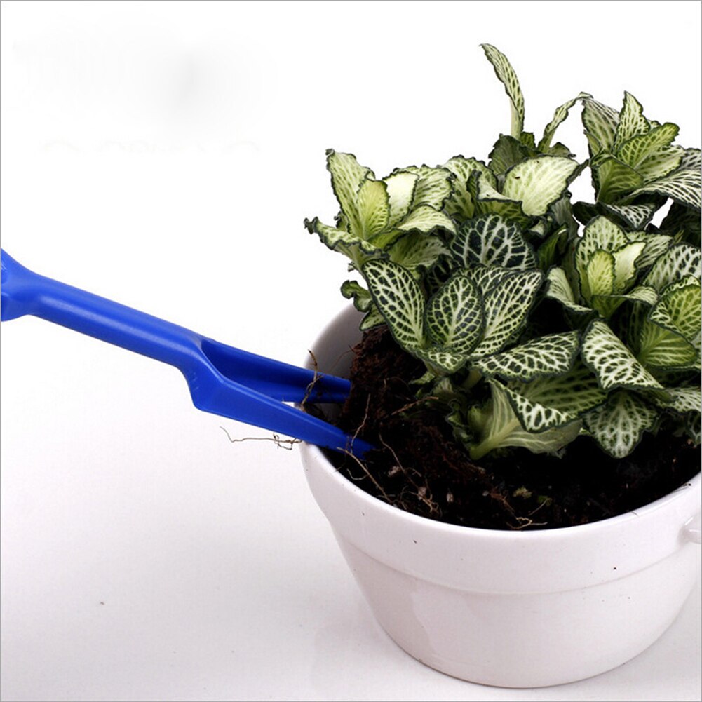 2Pcs Zaaien Vetplanten Transplanteren Zaailingen Teelt Planten Gereedschap Bonsai Meststof Boren Punchers Tuin Planter