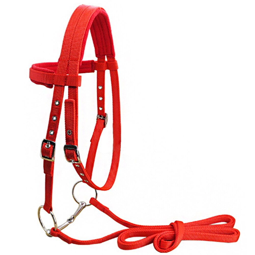 Equipo de protección para montar en bicicleta, cinturón de lana Polar con broca, brida de correa ajustable, competición, Caballo suave de invierno, deportes de cuello Halter: Black M