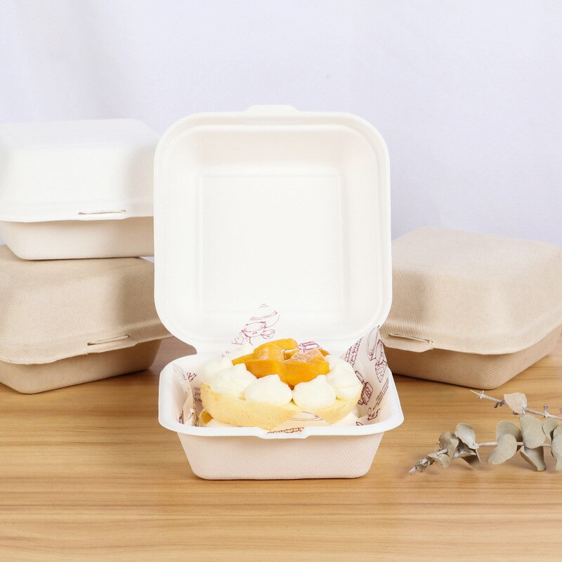 20Pcs Disposable Lunch Box Eco-Friendly Bakery Container Fruit Hamburger Cake Meal Prep Packaging