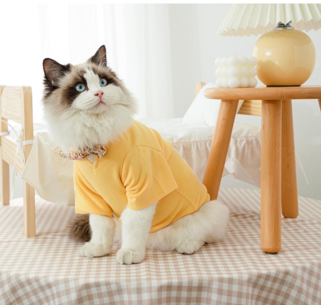 Pet Kleidung für Kleine Katzen Hunde Baumwolle Katze Kostüme Weichen Kätzchen Kitty Mantel Jacke Welpen Outfit