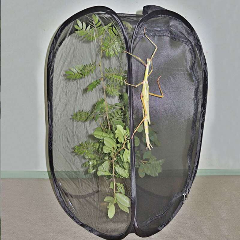 Insect Proof Ant Farm Net Box Foldable Plant Greenhouse Plant Seedlings Incubator Portable Collapsible Insect Cage Ant Farm Box