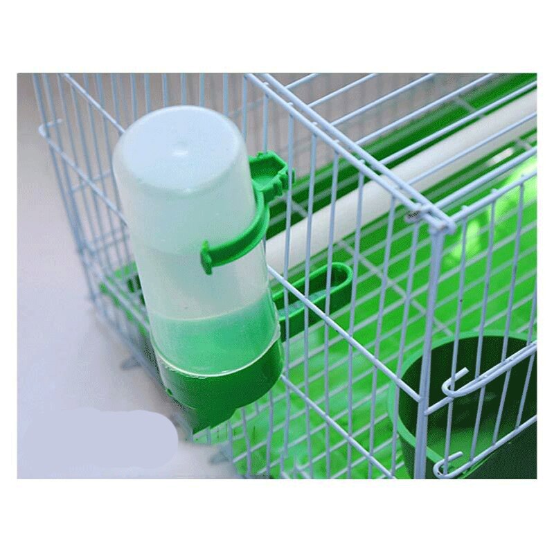 Bird pet quail chick Bird automatic water feeder Ruting chicken blue breast quail osmanthus bird kettle bird cage