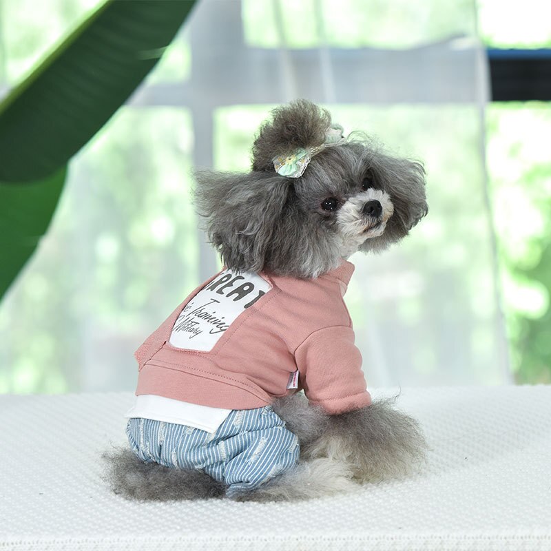 Roze Groen Blauw Kleuren Vier Benen Warm Katoen Gevoerde Hond Kleding Voor Herfst En Winter Pet Puppy Warme Kleding Voor huisdieren: Roze / M