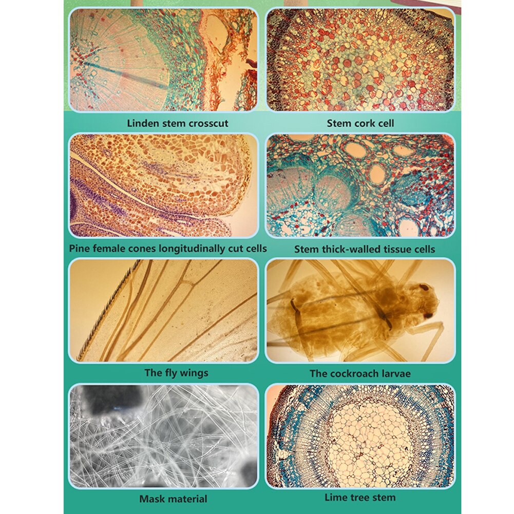 400X Microscoop Voor Telefoon Lens Monoculaire Mobiele Telefoon Camera Lens Hoge Vergroting Externe Universele Microscoop Lens