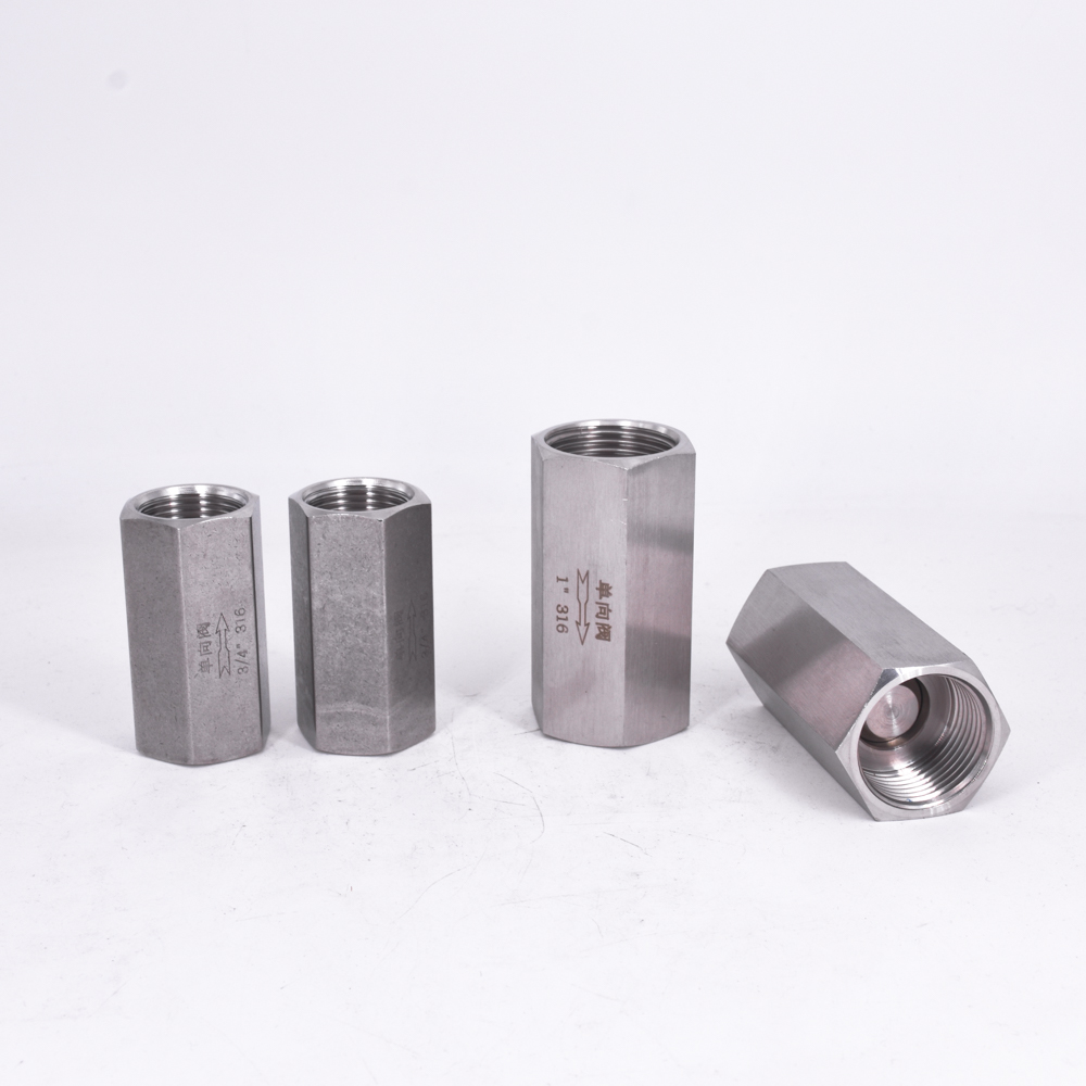 1/8" 1/4" 3/8" 1/2" 3/4" 1" BSP Female Hex One Way Check Valve Non-Return Inline 304 316 Stainless Steel
