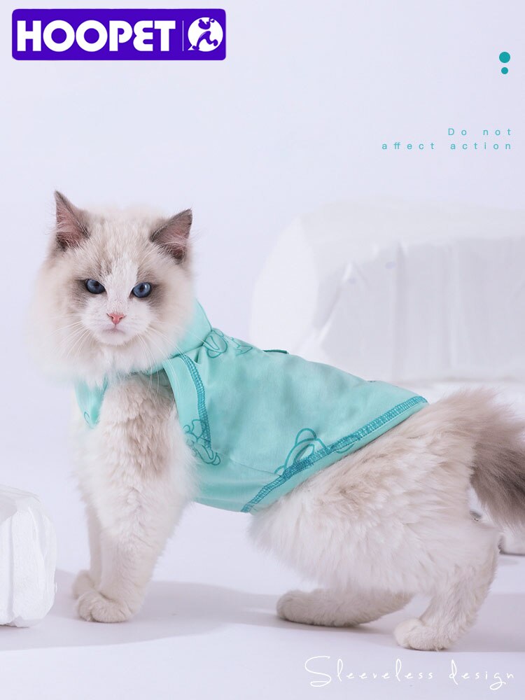 Winter Vrouwen Hoodies Miauw Zwarte Kat Gedrukt Trui Pocket Drop Mouwen Hoody Ademende Losse Sweatshirts Leuke Dameskleding kopen vanaf een prijs van 4.15