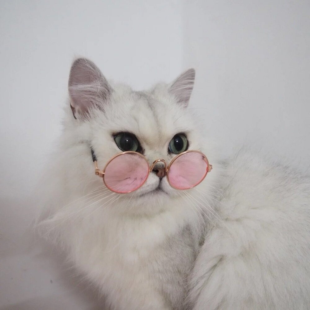 Gafas de Gato suave para mascotas, gafas de sol de color aleatorio para perro, perrito, gato, ojos, fotos, productos para mascotas