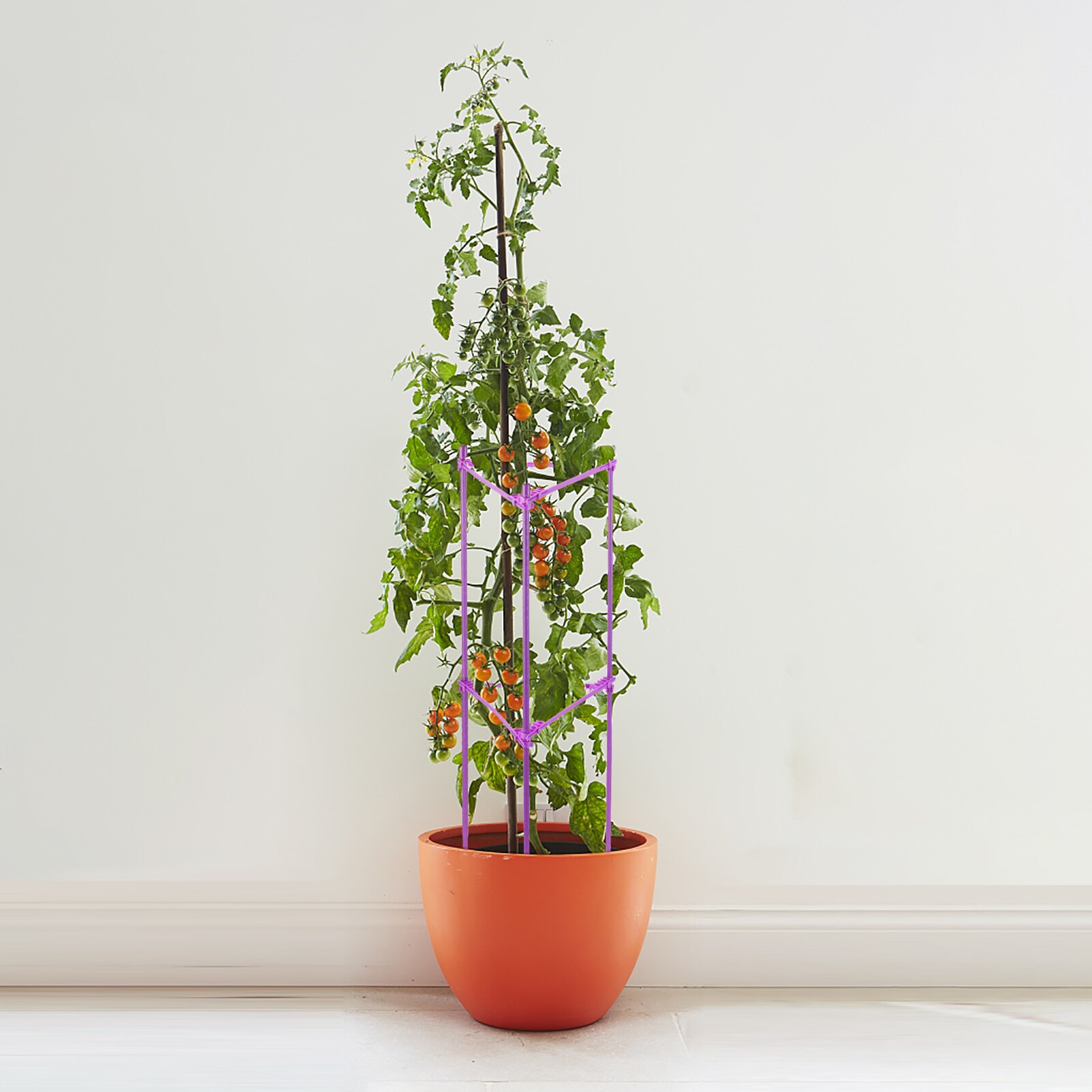 Plant Support Stakes For Indoor Plant Ergonomic Tomato Cages For Garden Adjustable Stake Arms Climbing Trellis Waterproof