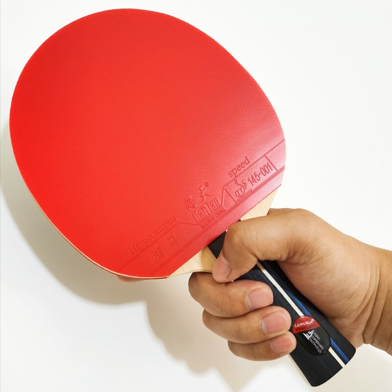 Lemuria Y40 Professionele Tafeltennis Racket Met Ittf Goedgekeurd Puistjes-In Rubber Lange Handvat Ping Pong Bat