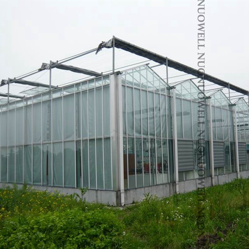 0.14mm Thickened Agricultural Plastic Film Farm Crops Garden Vegetableg PE Protective Film Plants Covering Film Width:2m~12m