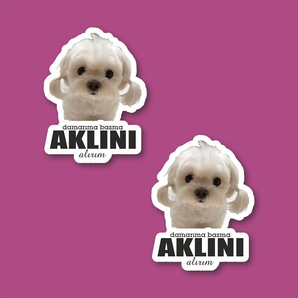 Aklını Krijgen Laptop En Telefoon Sticker-Decal Max.5cm 2'li Set