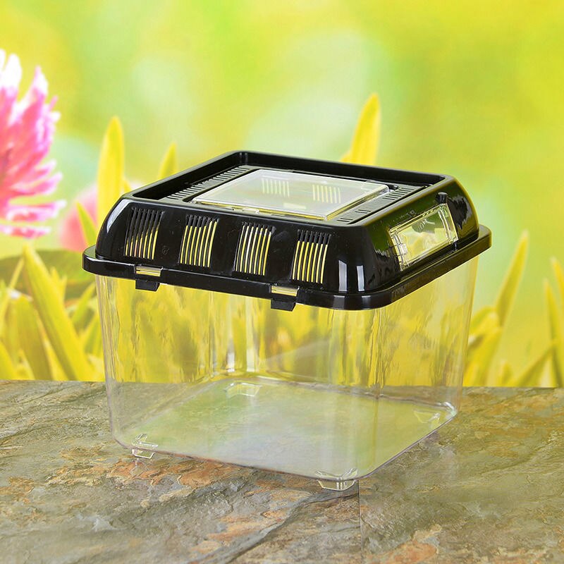 Portable Plastic Large And Medium Aquarium Fish Tank Goldfish Tank Closed Turtle Tank Pet Box Turtle Box Feeding Box Fish Box: Tank and Golden sand