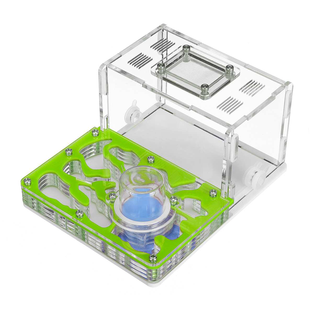 nido de hormiga acrílico DIY, granja de hormigas con área de alimentación, hormigero grande para animal doméstico 4,7*11,7*7,5 cm
