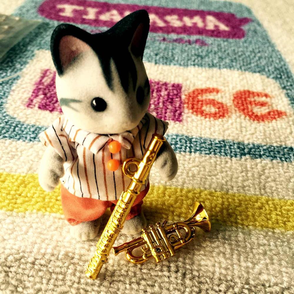 2 Stuks Mini Draagbare Trompet Fluit 1:12 Poppenhuis Miniatuur Plastic Muziekinstrument Met Doos Model Scène Accessoires