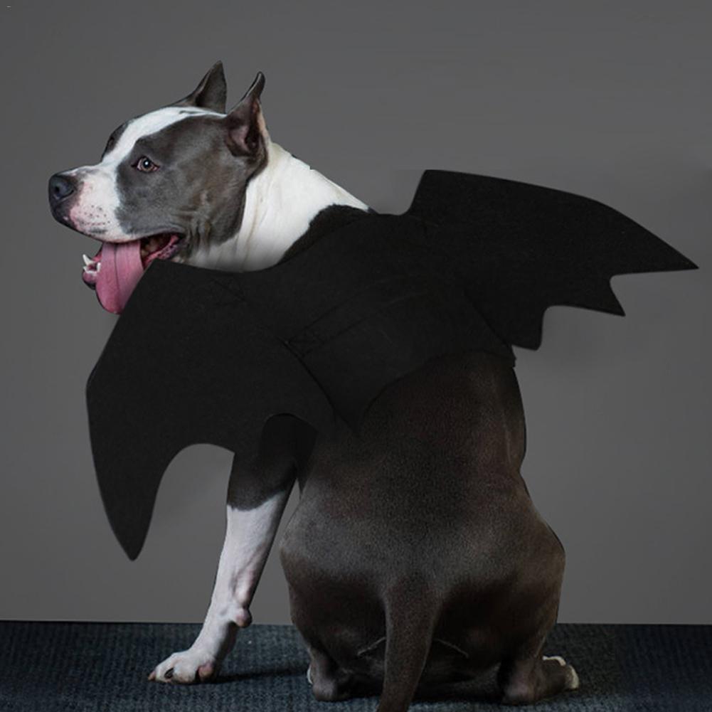 Halloween kæledyrstøj bat vinger til lille stor hund kat bat kostume halloween dekoration tøj