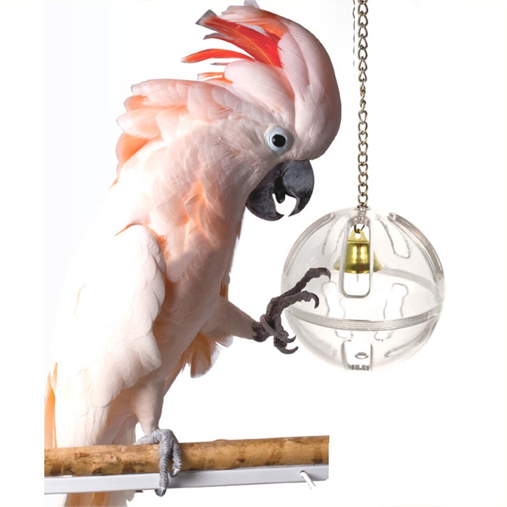 Pets Bird Parrot Food Feeder Foraging Bell Chain Ball Cage Feeding Chew Toy