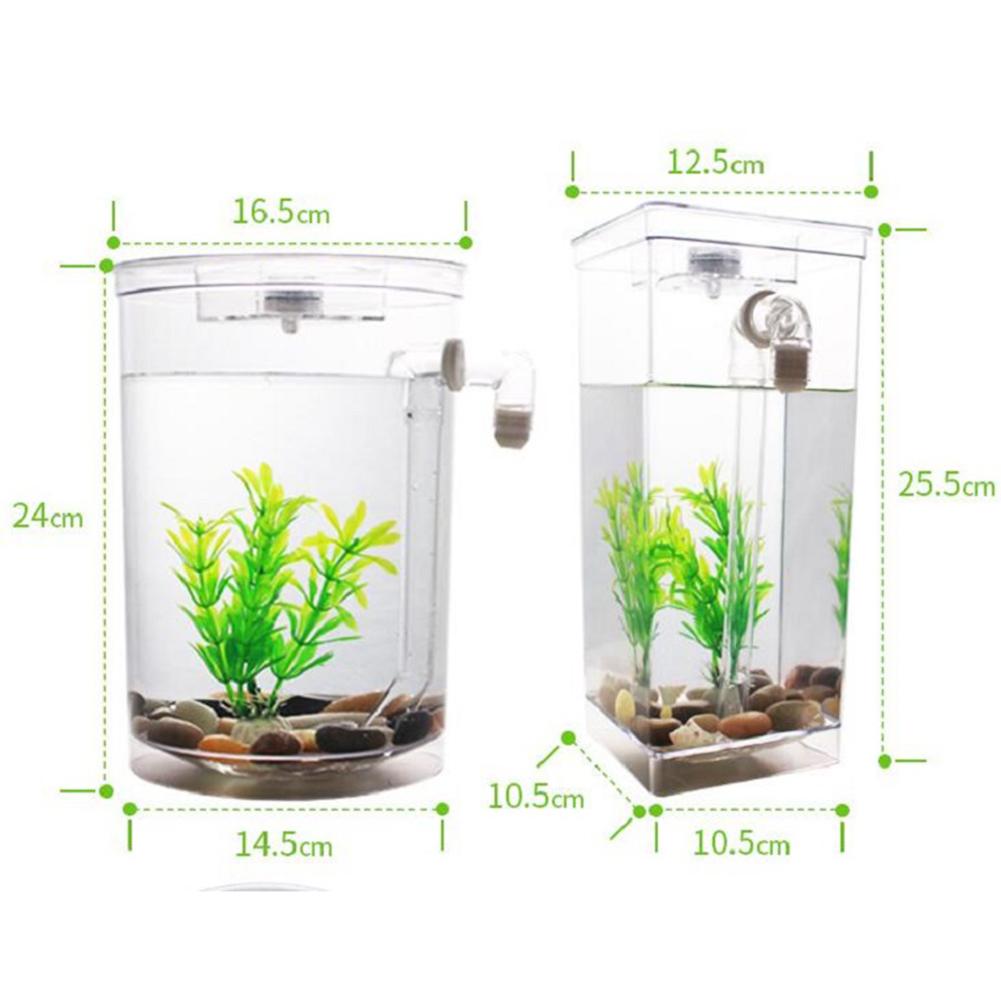 Mini pecera ecológica de escritorio para acuario, caja para peces autolimpiable