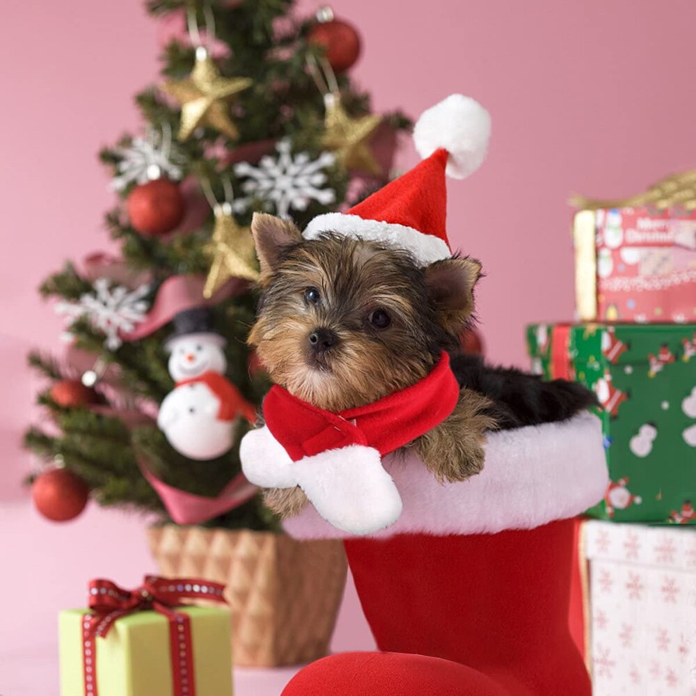 Kæledyr jul julemanden hat kulør hund kat colthes tilbehør levering