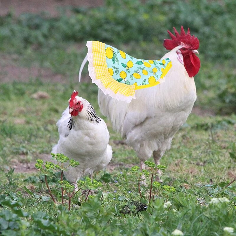 6 Pack Chicken Saddle for Hens-Fruit Pattern Summer Standard Chicken Saddle with Elastic Straps Feather Fixer