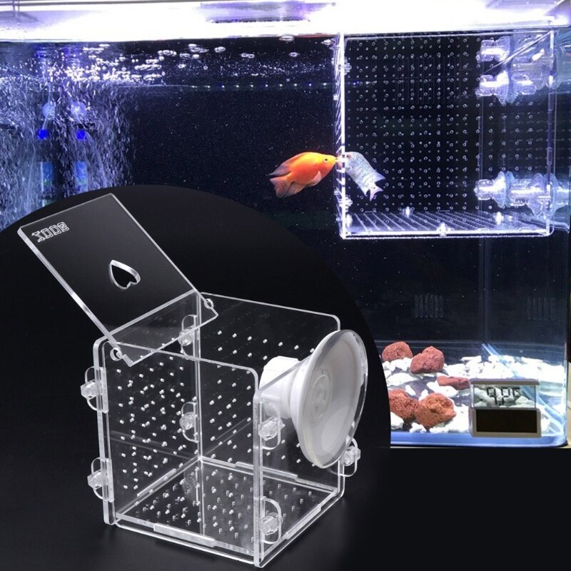 Aquarium Fisch Zucht Isolation Kasten Aquarium Inkubator Züchter Für Baby Fisch