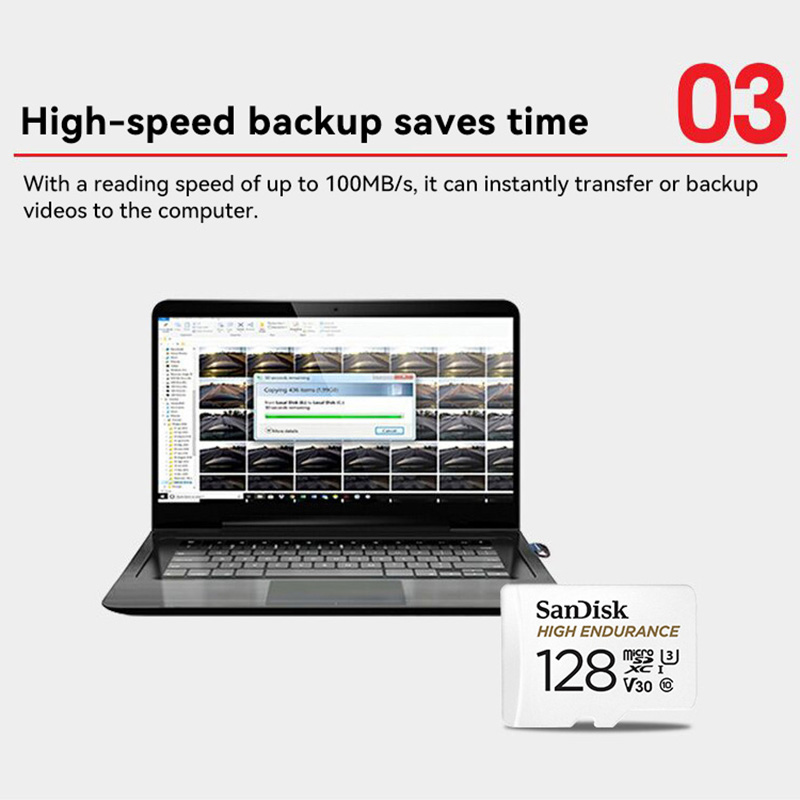 SanDisk High Endurance Micro SD Card 32GB 64GB 128GB 256GB Memory Card Up to 100MB/s Flash Card TF Card for Monitoring Dashcam