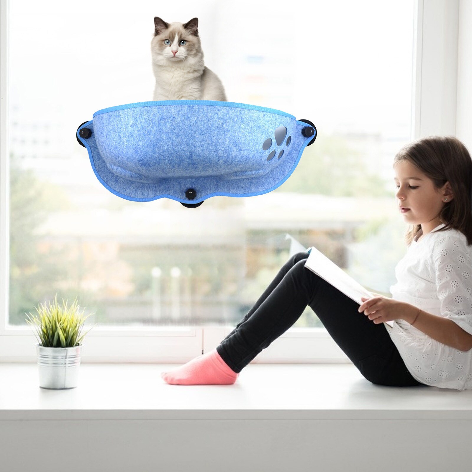 Hamac de fenêtre pour chat, lit d&#39;escalade, montage mural, ventouse ensoleillée, tapis de lits confortables et doux suspendus, rapide