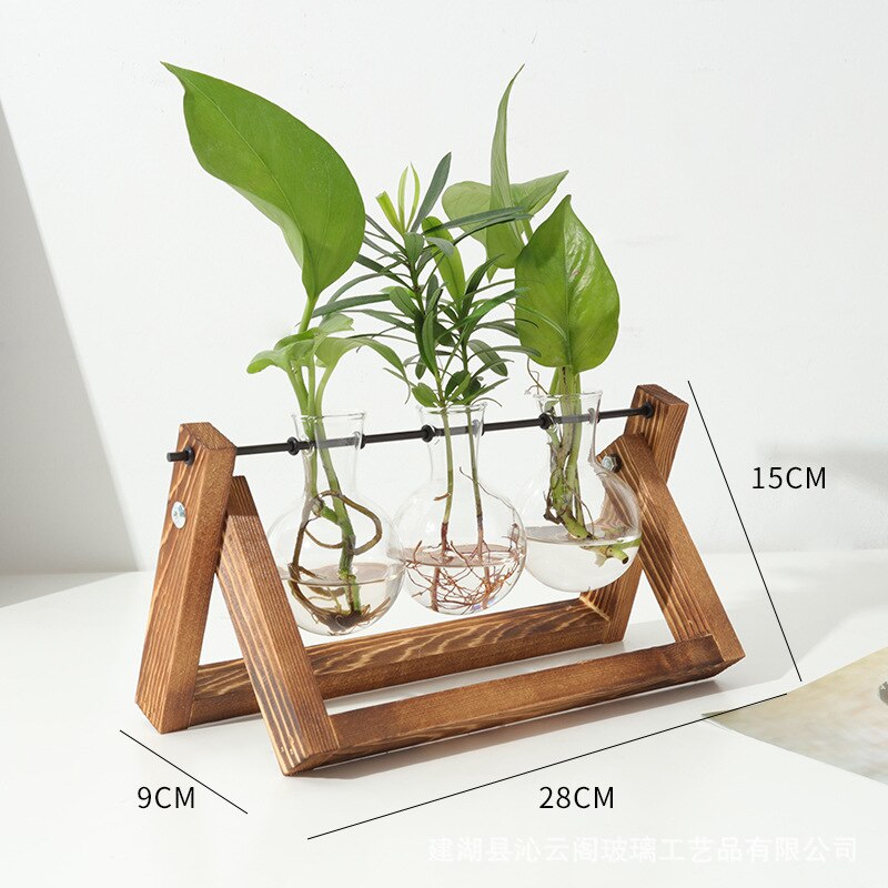 Xptieeck Plant Propagation Station met Houten Stand,Plant Terrarium Desktop Vermeerdering Stations,Air Planter Bulb Glazen Vaas
