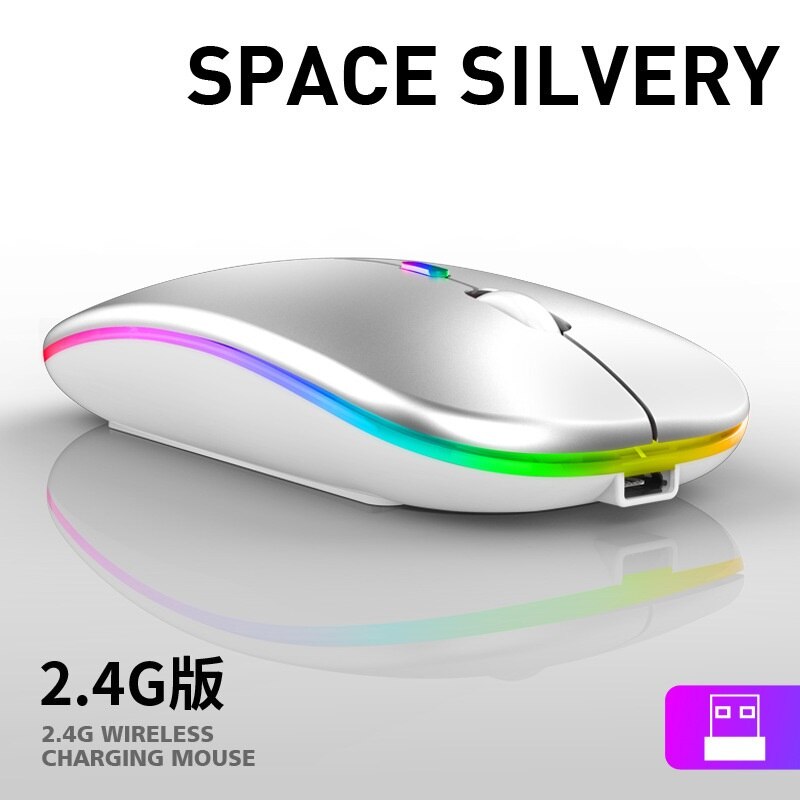 Dual-Mode Bluetooth 2.4G Wireless Mouse for Laptop Rechargeable Mouse Wireless Computer Silent Mause Mini Optical Mouse: 2.4G Silver