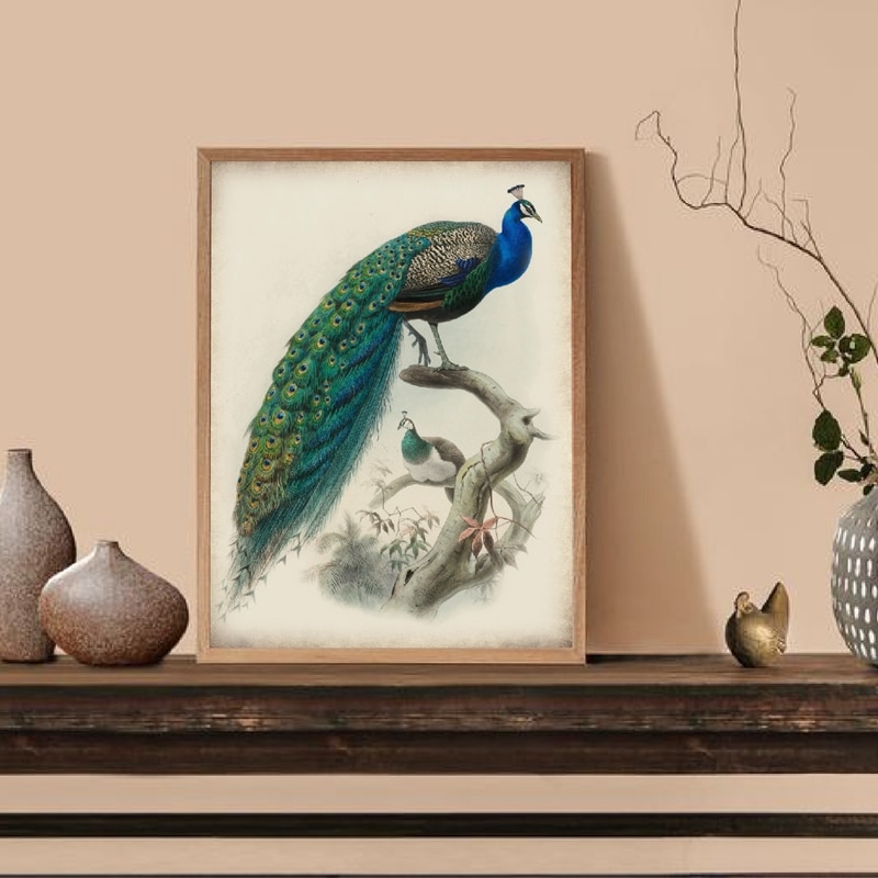 Mooie Pauwen Vogel Illustratie Print Vintage Poster Vogel Pauwen Picture Wall Art Decor Retro Poster Kraftpapier