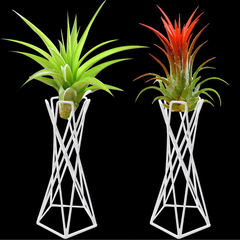 Soporte de soporte de planta de aire Tillandsia, bastidores de exhibición de plantas de aire de Metal de sobremesa contenedores para colgar plantas de Casa Tillandsia
