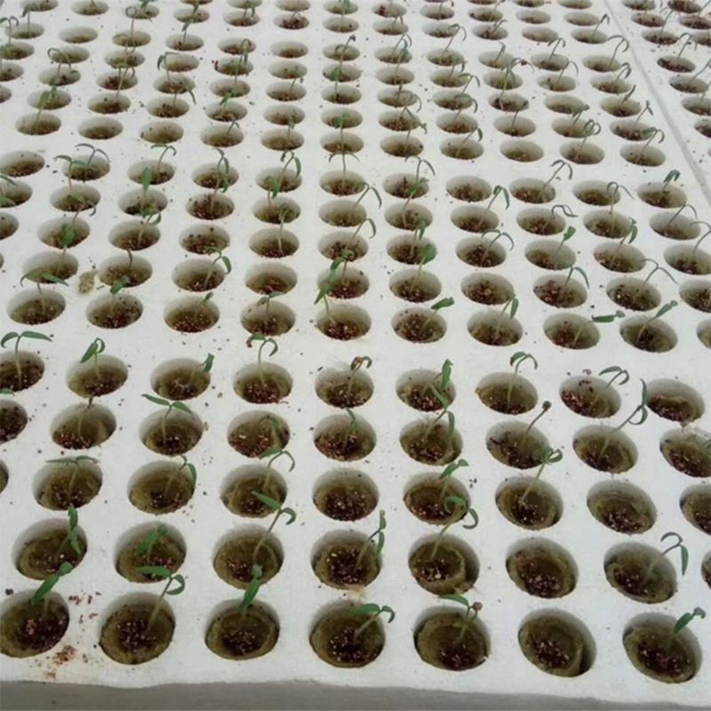 Verzorging hydrocultuur | De Interieurbeplanter Verzorging hydrocultuur | De Interieurbeplanter