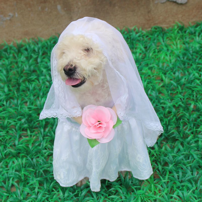 [MPK Store] Wedding Gown for Dogs, Beautiful Dog Wedding Dress, Pet Wedding Costume: White / XS