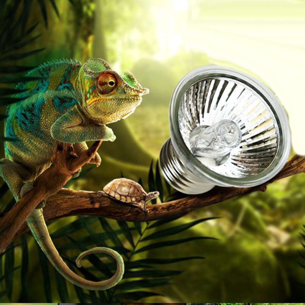 110V UVB / UVA reptile solar heater heating lamp halogen bulb E27