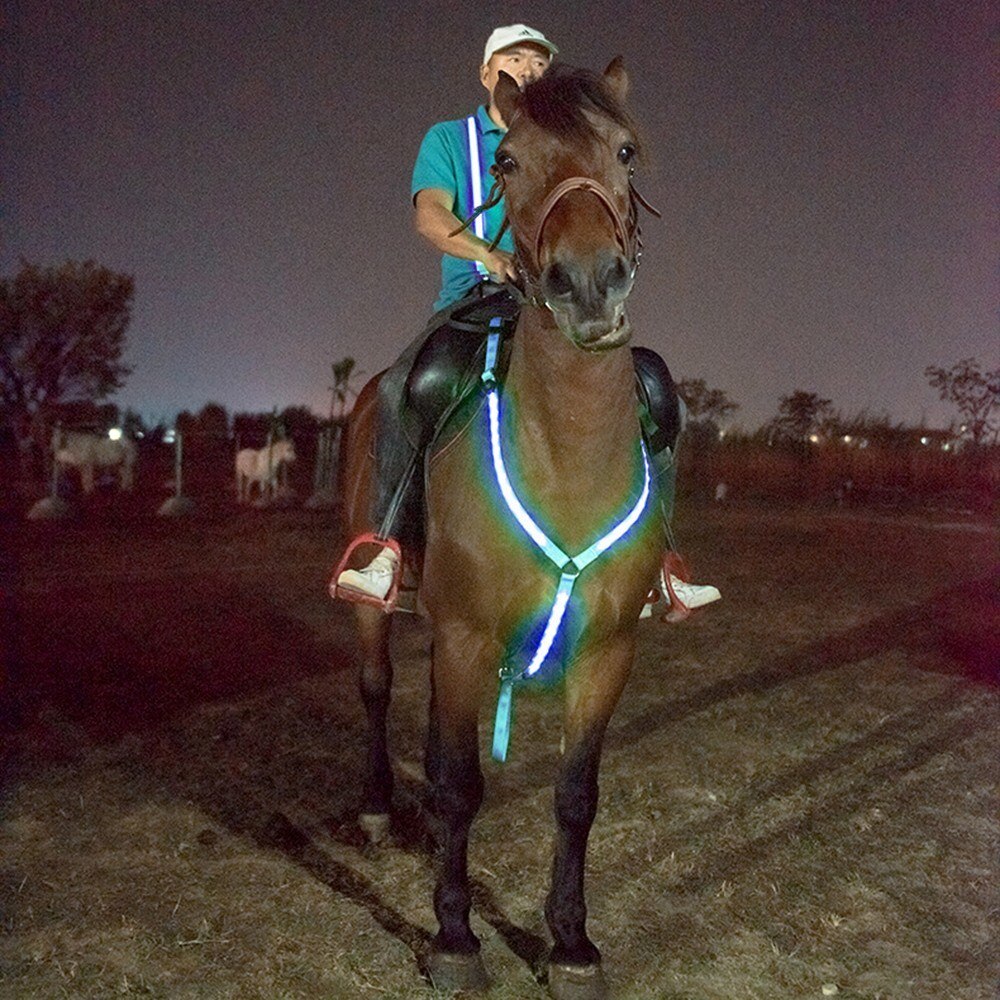 Haute Visibilité LED Cheval Plastron Col Cheval Ceinture Thoracique Punaises Équitation Équestre Équipement De Sécurité