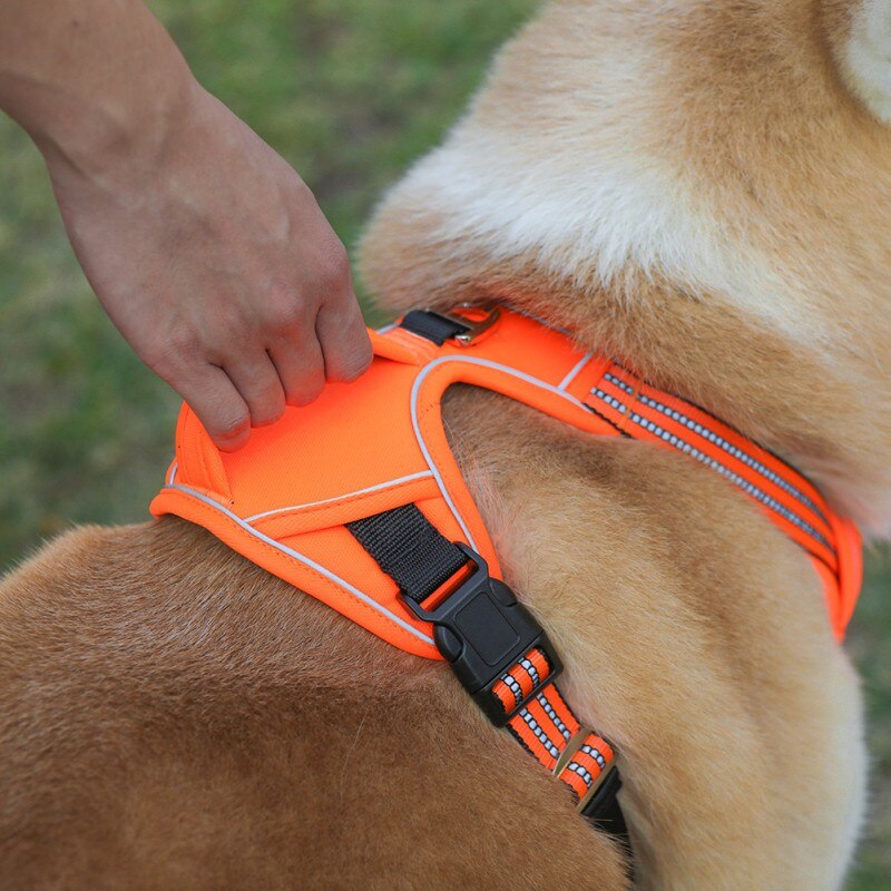 Durable Pet Harness For All Season Adjustable Dogs Training Harness Explosion-proof Vest Harnesses