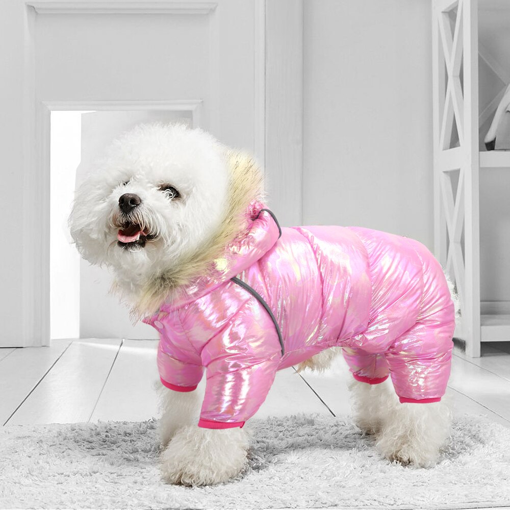 Dikke warme kleding voor honden, reflecterende hondenkleding, winterjas, warme kleding voor kleine en middelgrote honden, chihuahua, bulldog